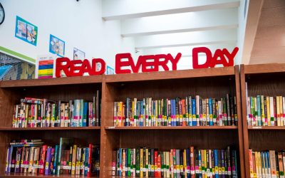 Navigating Challenges in School Library Management